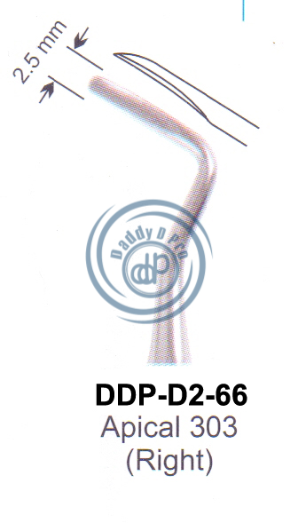 images/DDP-D2-66.png