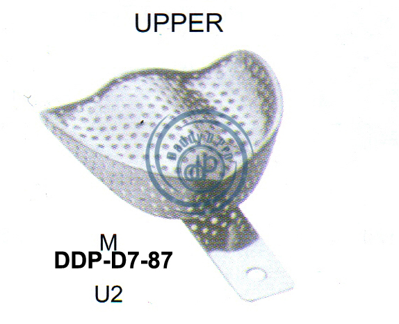 images/DDP-D7-87.png