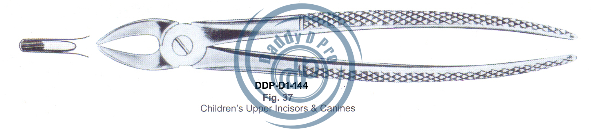 images/DDP-D1-144.png