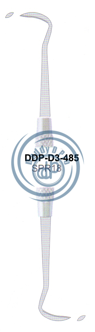 images/DDP-D3-485.png