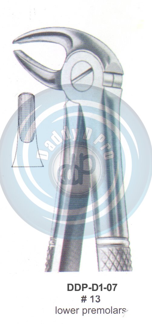 Tooth Extracting Forceps  Fig#13 (english pattern)