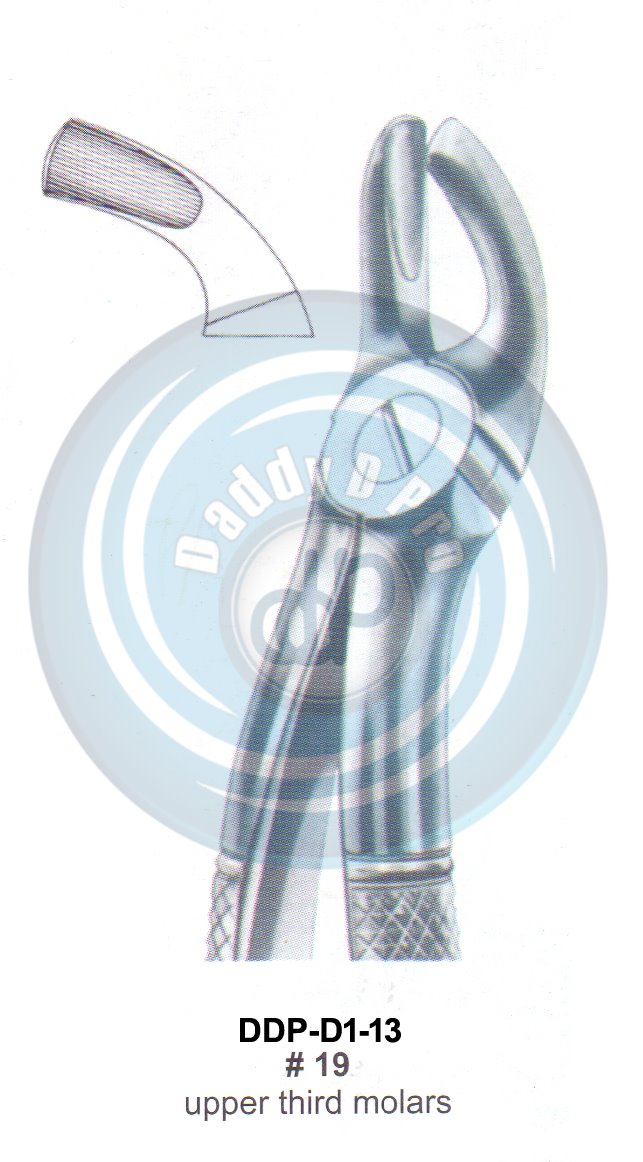 Tooth Extracting Forceps  Fig#19 (english pattern)