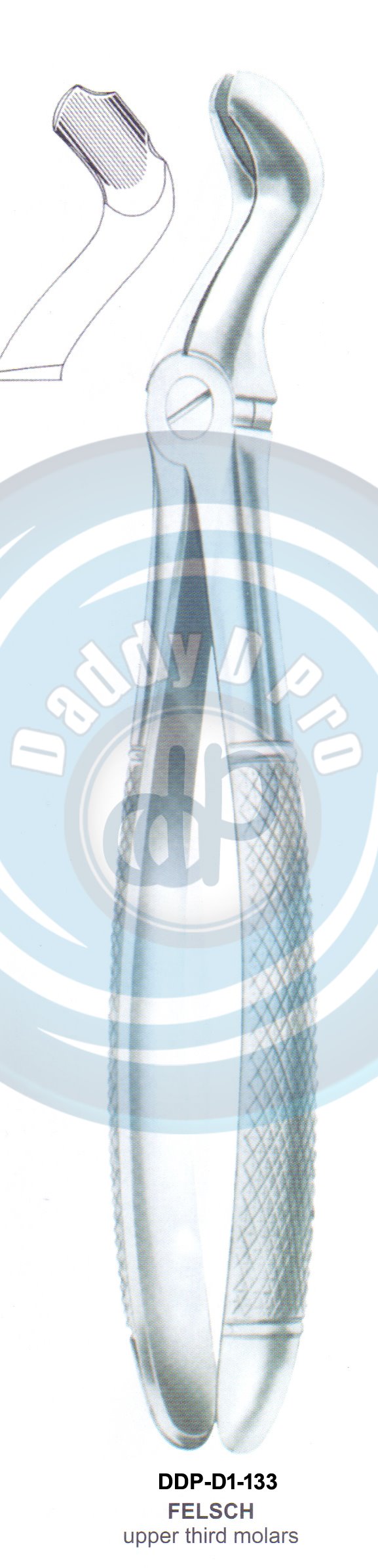 Tooth Extracting Forceps  FELSCH (english pattern)