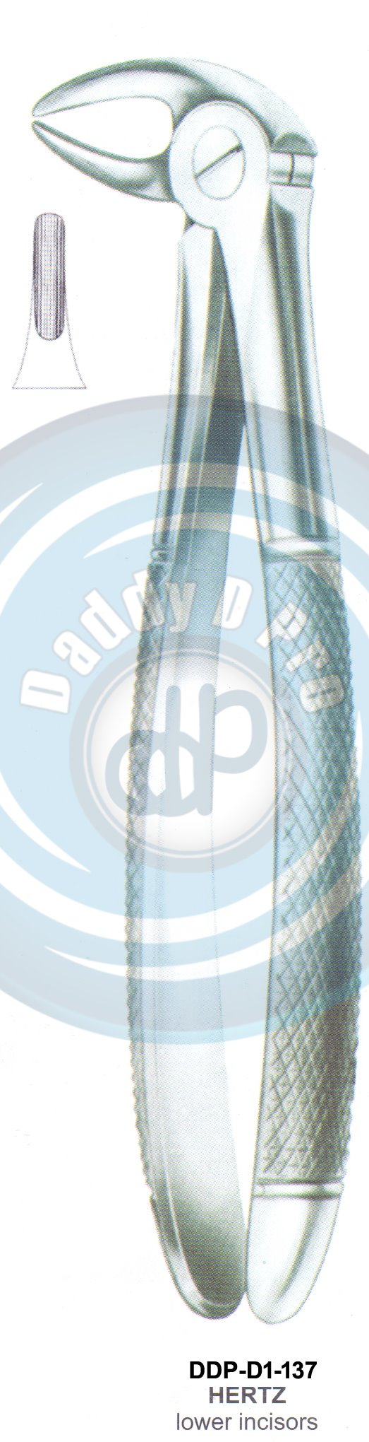 Tooth Extracting Forceps HERTZ (english pattern)