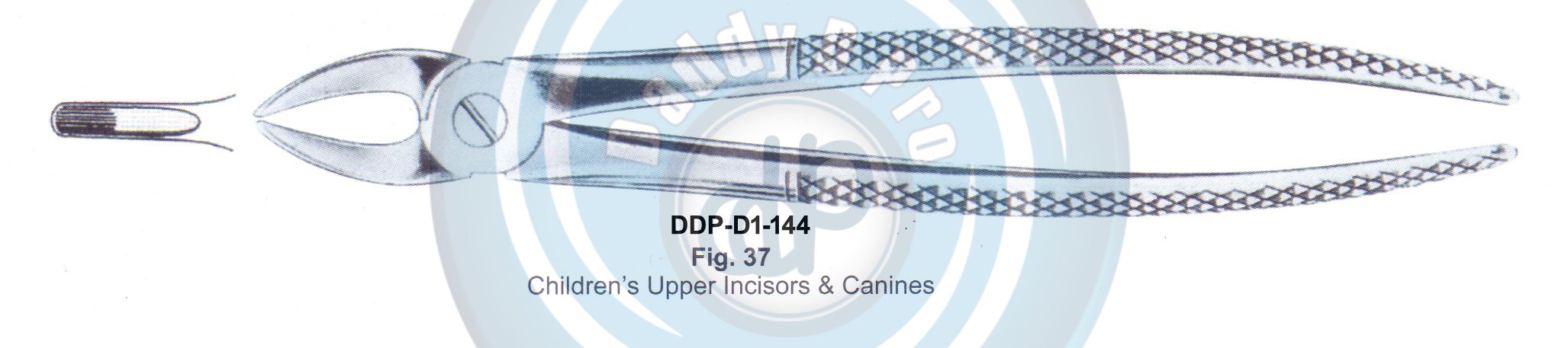 Tooth Extracting Forceps  Fig#37 (english pattern)
