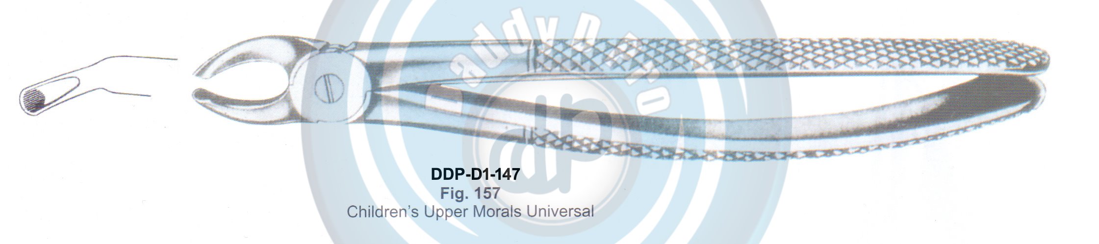Tooth Extracting Forceps  Fig#157 (english pattern)