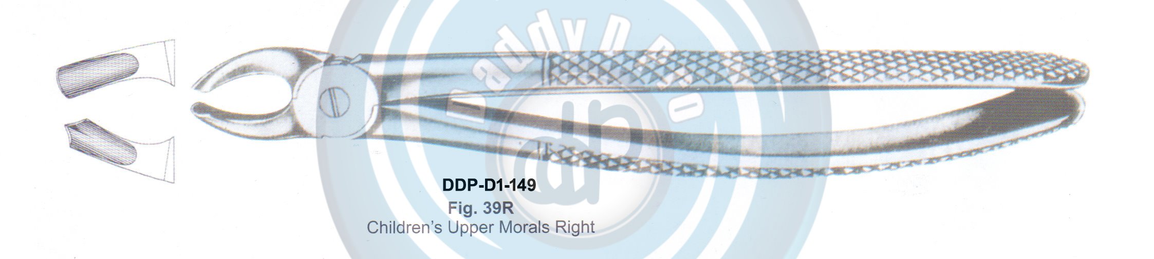 Tooth Extracting Forceps  Fig#39R (english pattern)