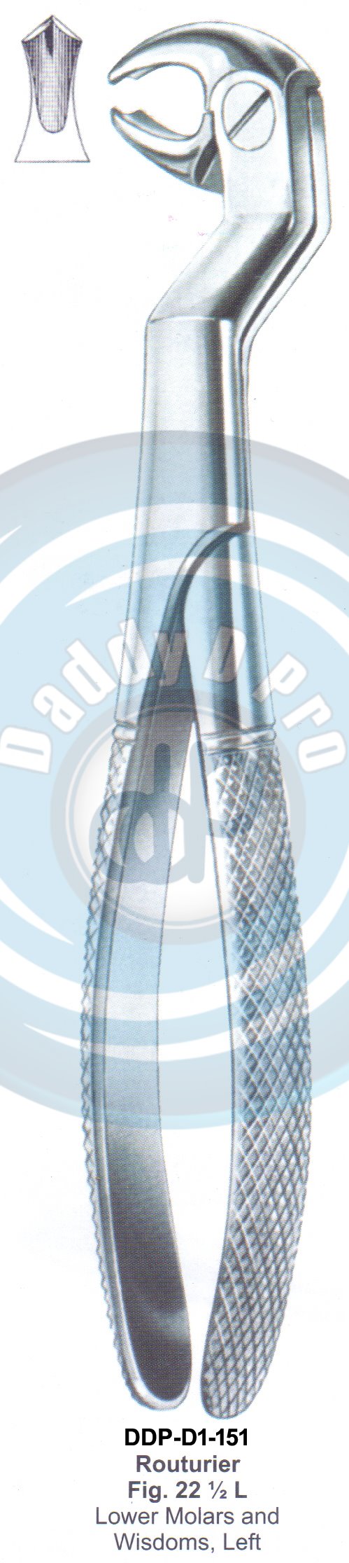Tooth Extracting Forceps  Fig#22 1/2 L (english pattern)