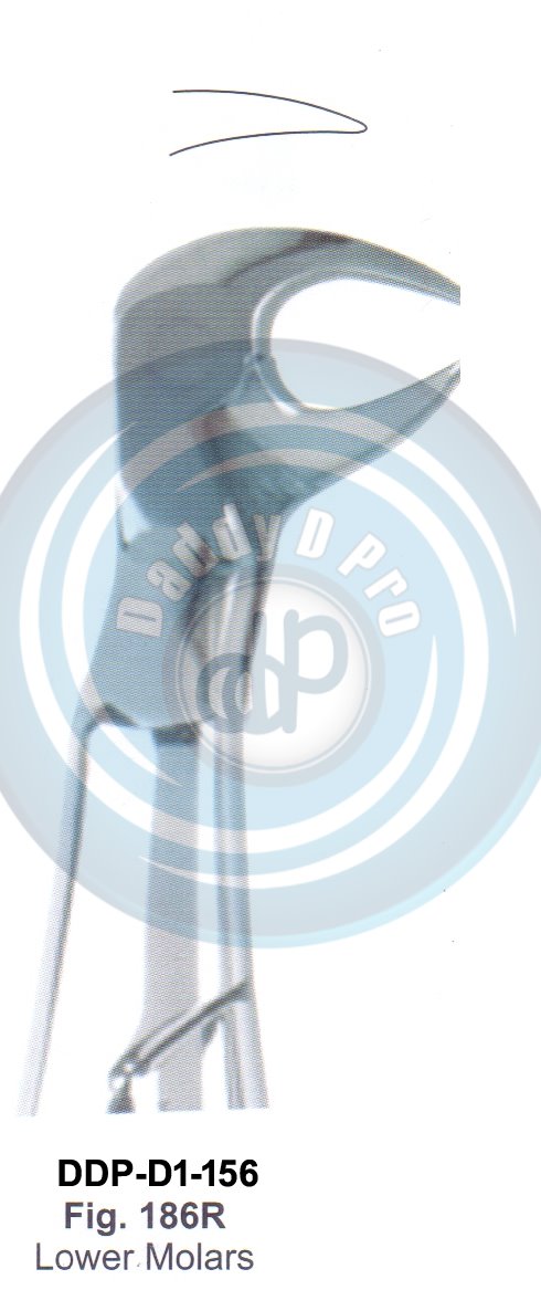 Tooth Extracting Forceps  Fig#186R (english pattern)