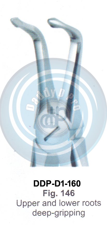 Tooth Extracting Forceps  Fig#146 (english pattern)