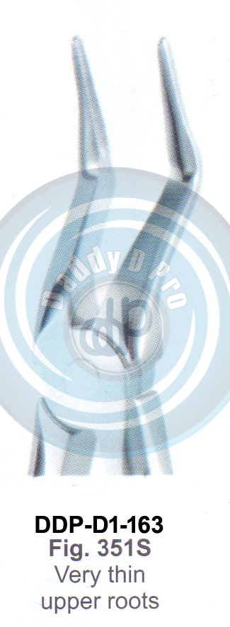 Tooth Extracting Forceps  Fig#351S (english pattern)
