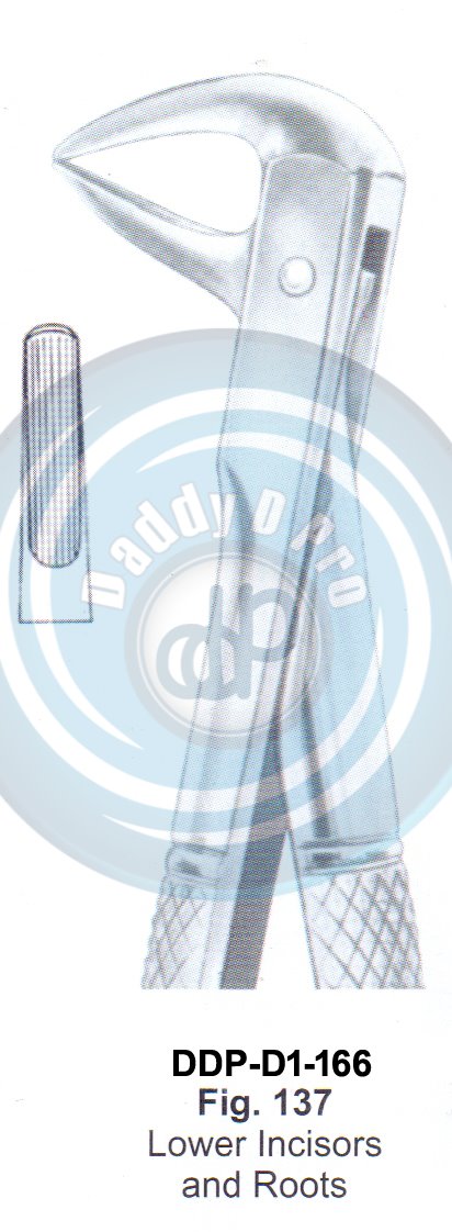 Tooth Extracting Forceps  Fig#137 (english pattern)