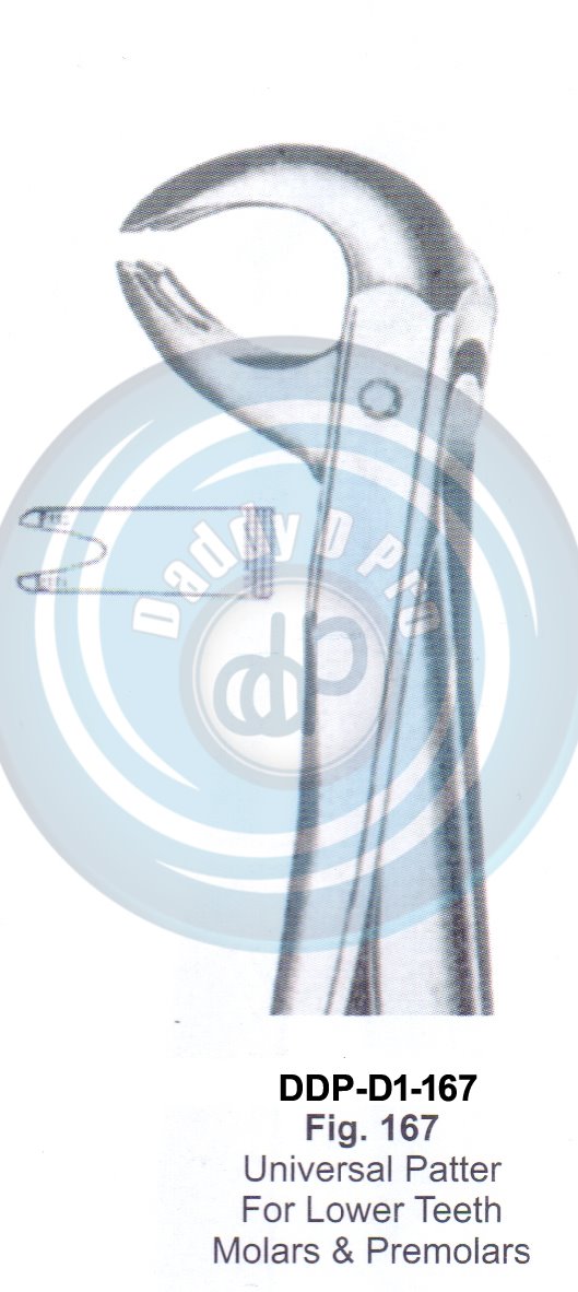 Tooth Extracting Forceps  Fig#167 (english pattern)
