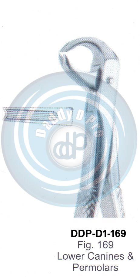 Tooth Extracting Forceps  Fig#169 (english pattern)