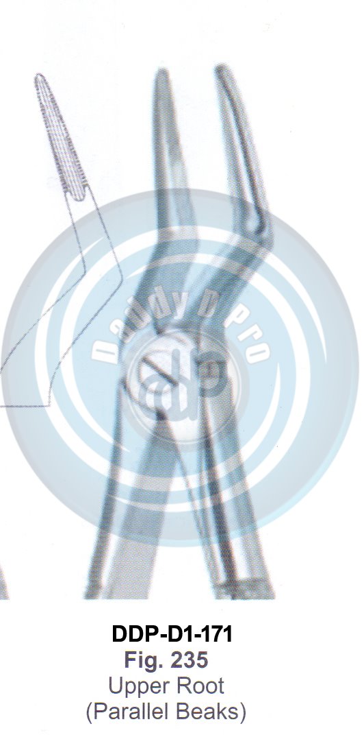 Tooth Extracting Forceps  Fig#235 (english pattern)