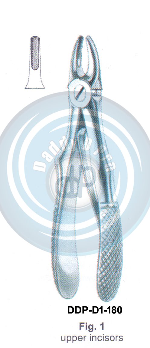 Baby Tooth Extracting Forceps  Fig#1 (english pattern)