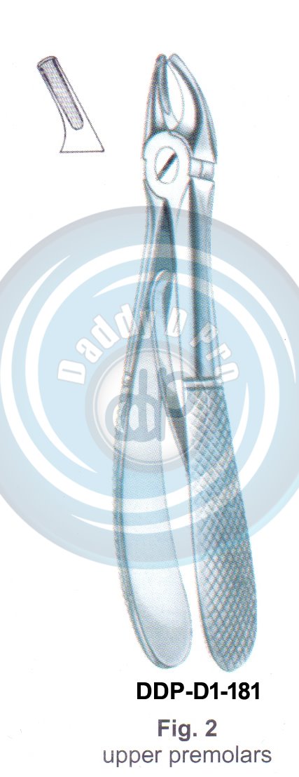 Baby Tooth Extracting Forceps  Fig#2 (english pattern)