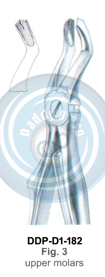 Baby Tooth Extracting Forceps  Fig#3 (english pattern)