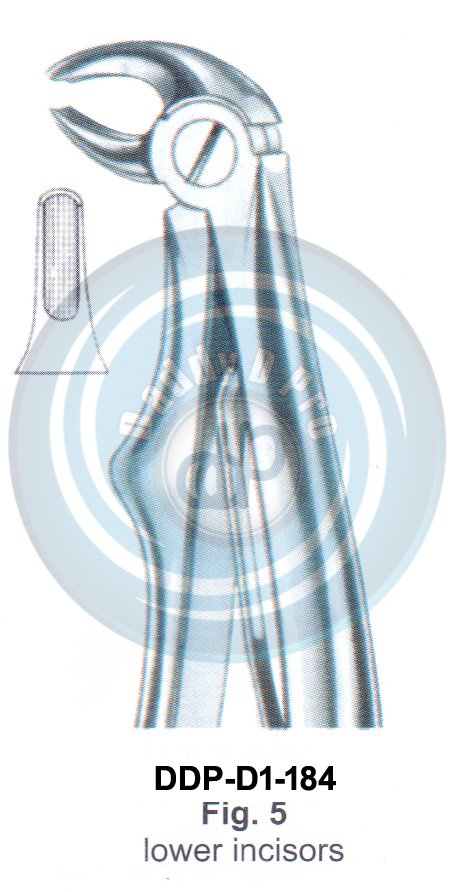 Baby Tooth Extracting Forceps  Fig#5 (english pattern)