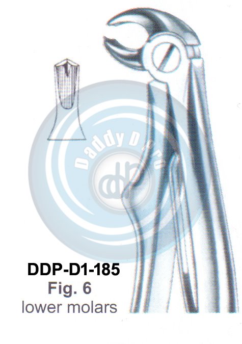 Baby Tooth Extracting Forceps  Fig#6 (english pattern)