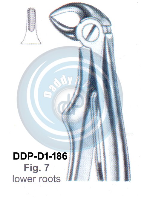 Baby Tooth Extracting Forceps  Fig#7 (english pattern)