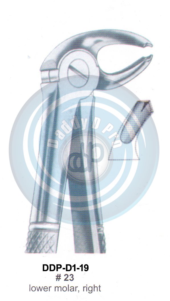 Tooth Extracting Forceps  Fig#23 (english pattern)