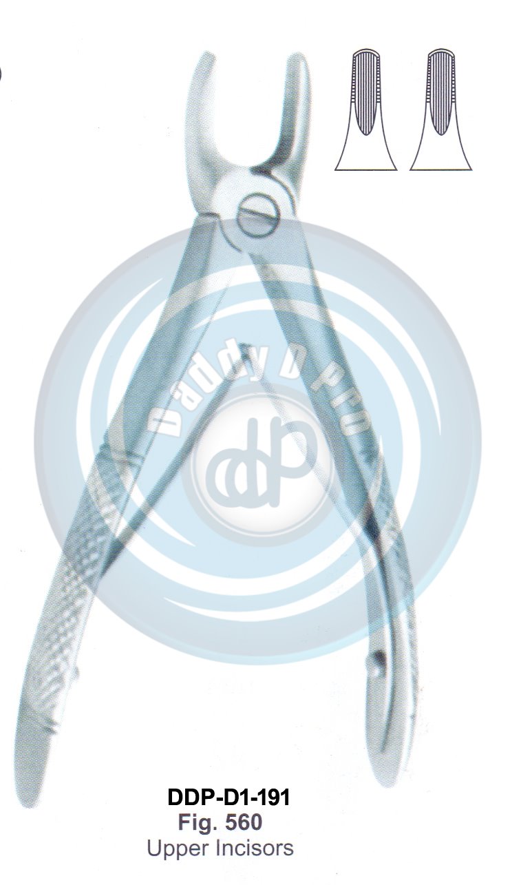 Tooth Extracting Forceps  Fig#560 (english pattern)