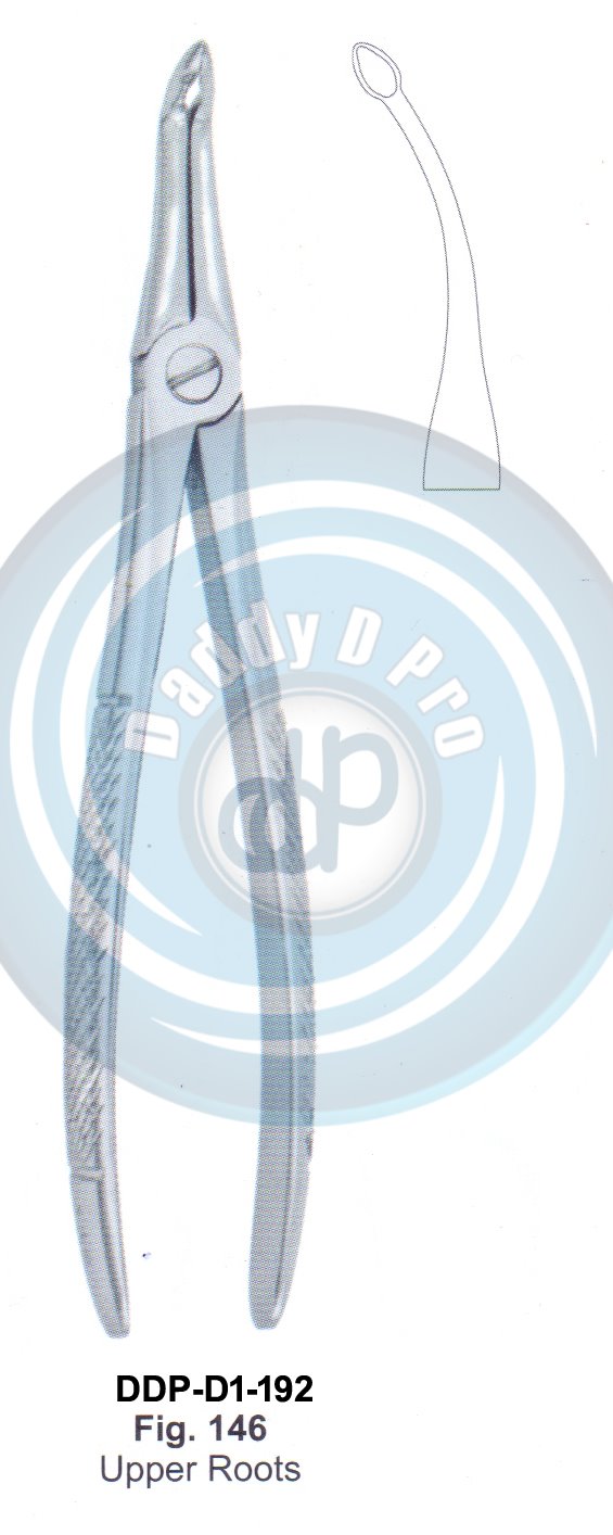 Deep Gripping Root Forceps Fig#146 (english pattern)