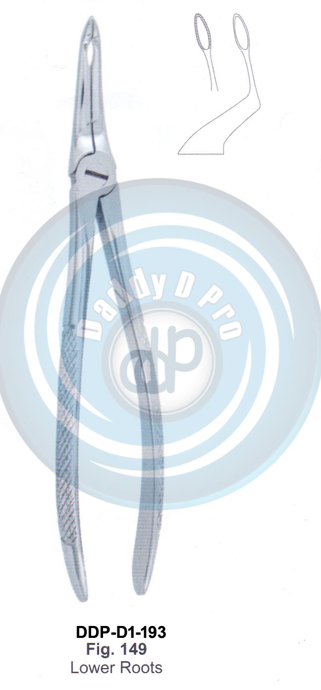 Deep Gripping Root Forceps Fig#149 (english pattern)