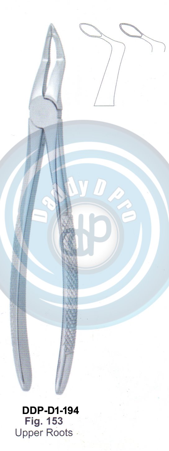 Deep Gripping Root Forceps Fig#153 (english pattern)