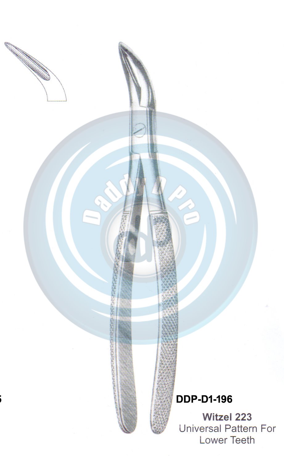 Tooth Extracting Forceps  Fig# Witzel223 (english pattern)