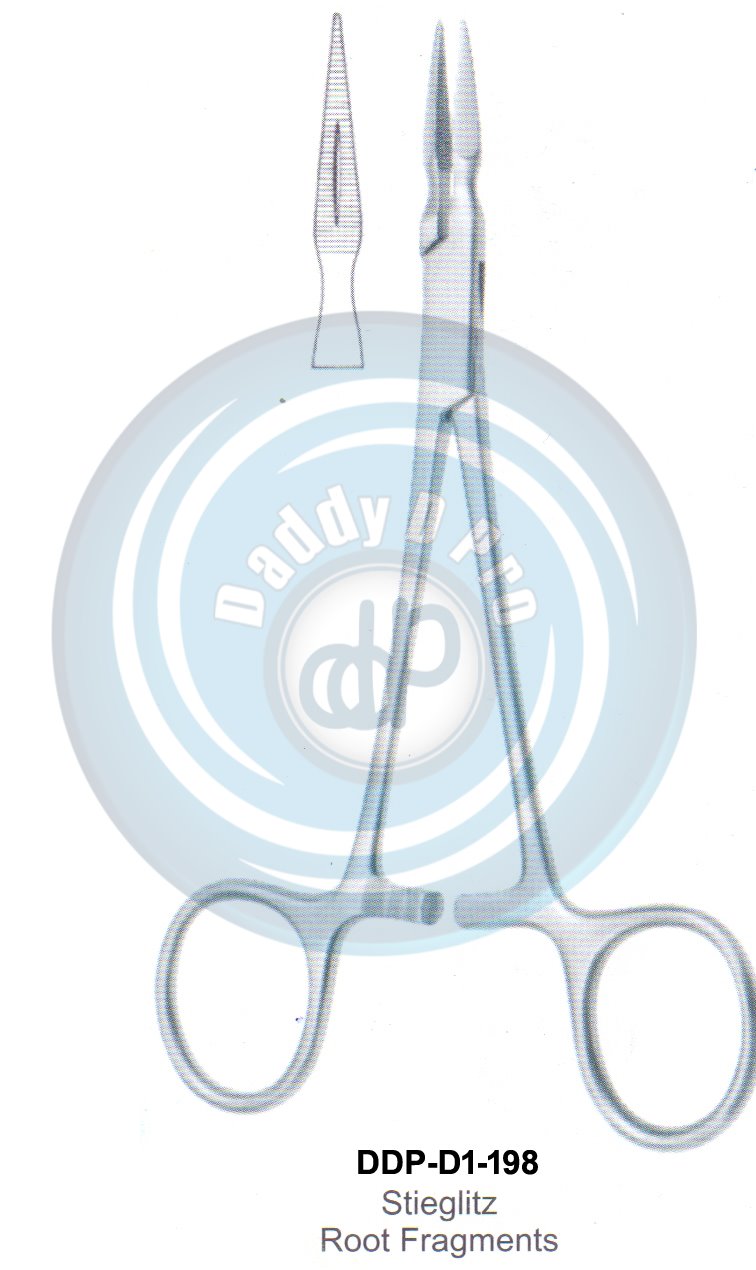 Tooth Extracting Forceps  Stieglitz (english pattern)