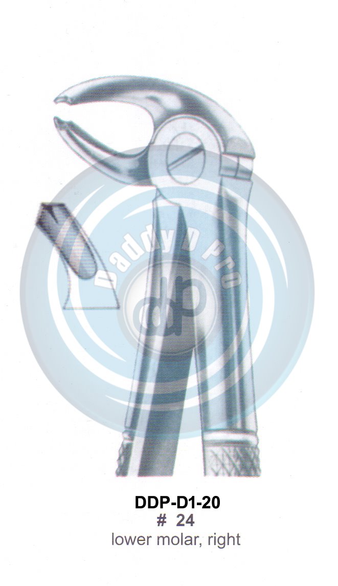 Tooth Extracting Forceps  Fig#24 (english pattern)