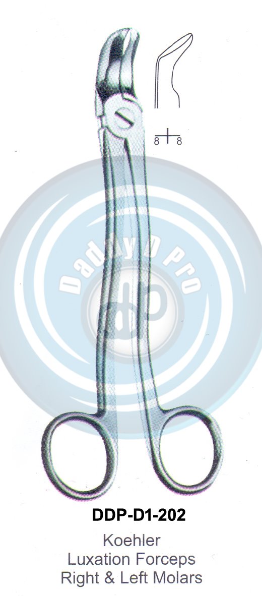 Tooth Extracting Forceps Koehler  (english pattern)