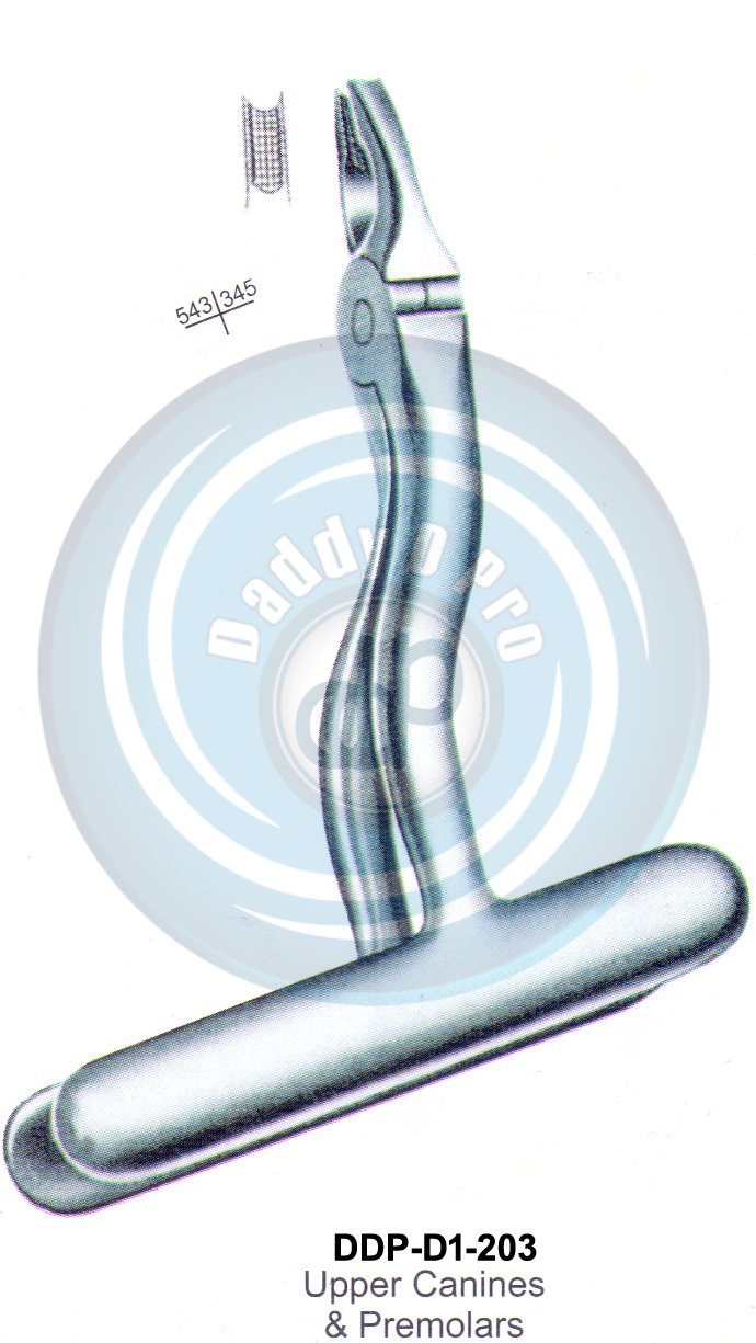 Tooth Extracting Forceps  543|345 (english pattern)
