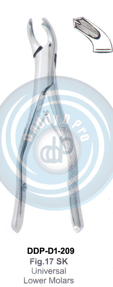 Tooth Extracting Forceps  Fig#17SK (english pattern) 