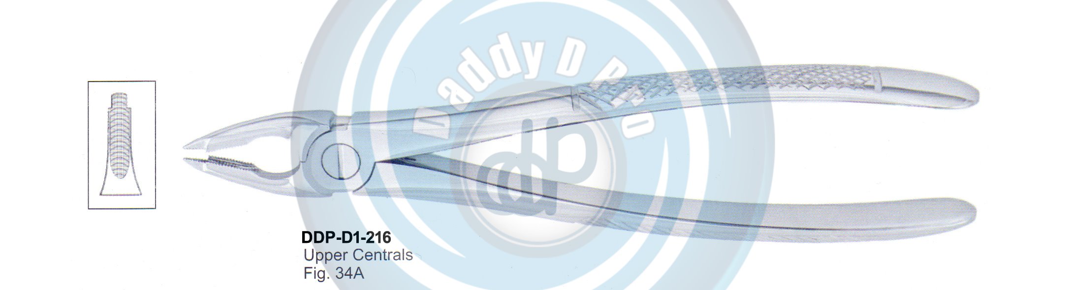 Tooth Extracting Forceps  Fig#34A (english pattern) 