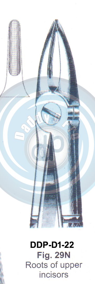 Tooth Extracting Forceps  Fig#22N (english pattern)