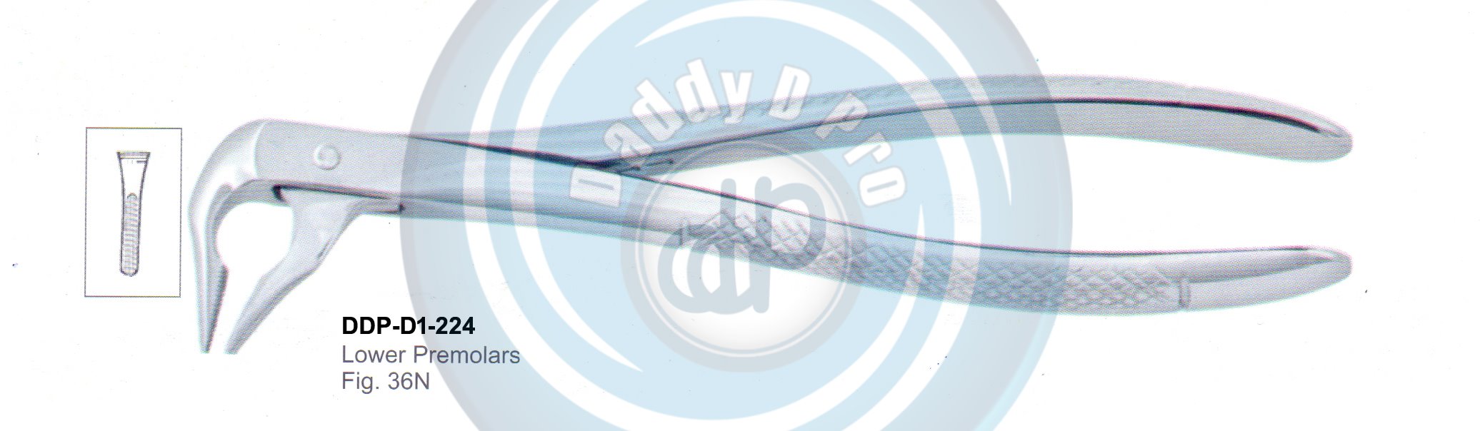 Tooth Extracting Forceps  Fig#36N (english pattern) 
