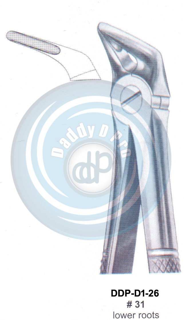 Tooth Extracting Forceps  Fig#31 (english pattern)