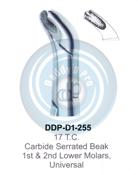 Tooth Extracting Forceps FIG#17 T.C.  (english pattern) 