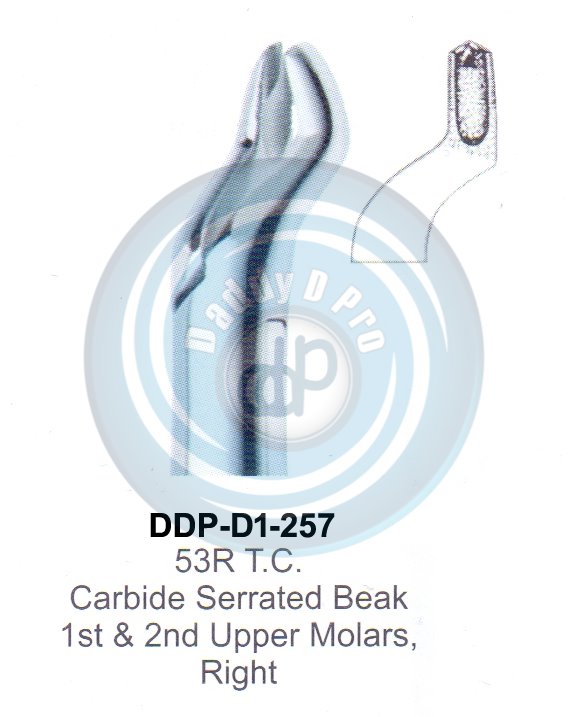 Tooth Extracting Forceps FIG#53R T.C.  (english pattern) 