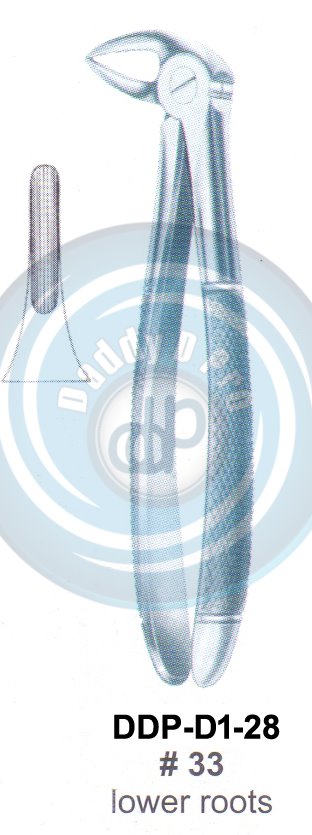 Tooth Extracting Forceps  Fig#33 (english pattern)