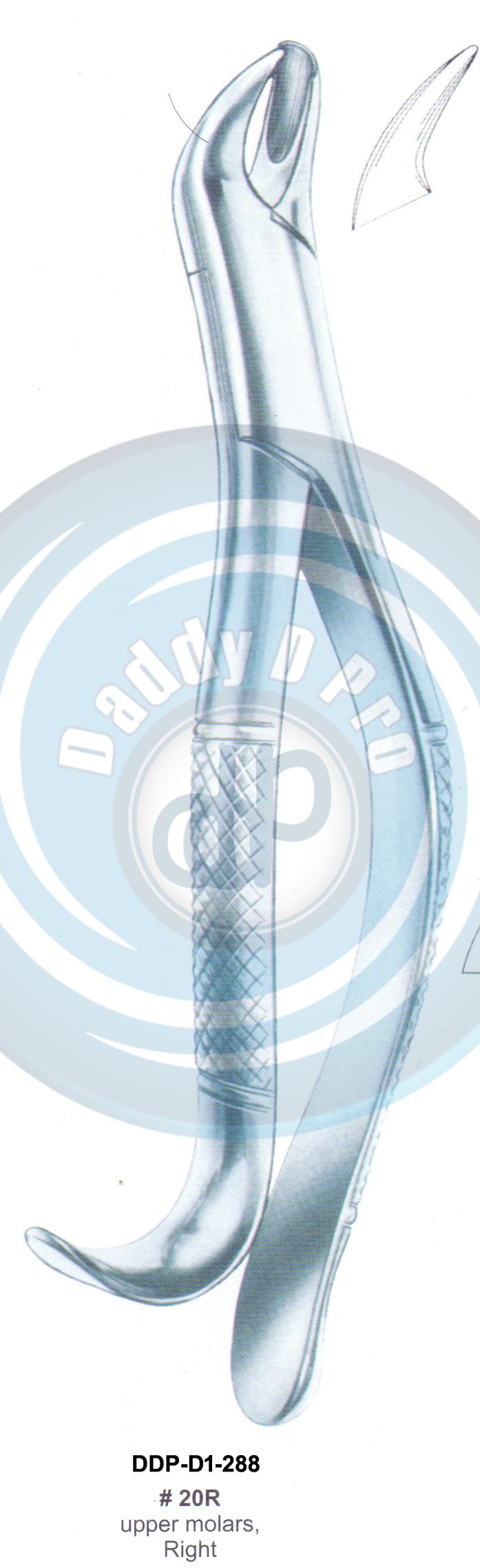 Tooth Extracting Forceps FIG# 20R  (english pattern)