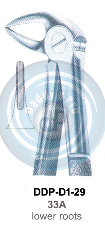Tooth Extracting Forceps  Fig#33A (english pattern)