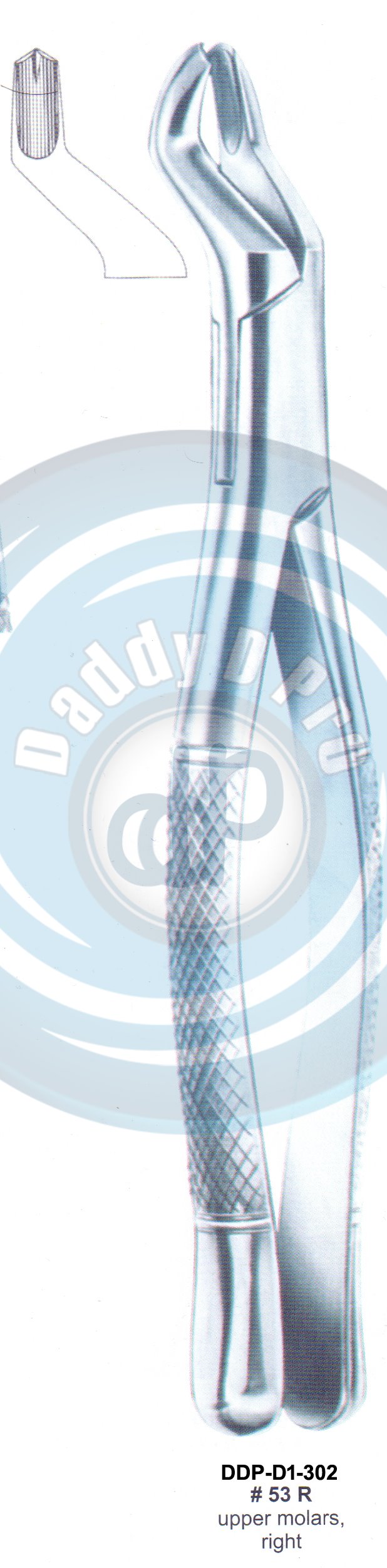 Tooth Extracting Forceps FIG# 53R (english pattern)