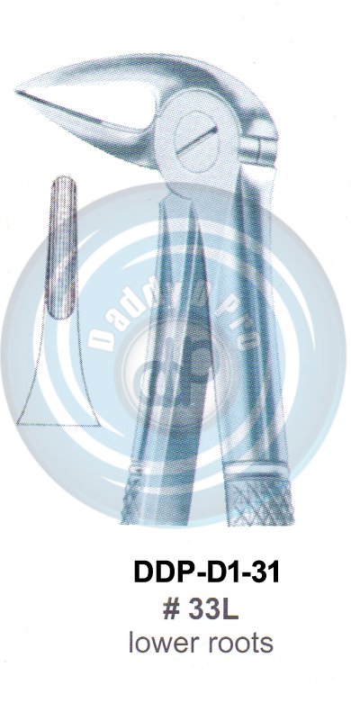 Tooth Extracting Forceps  Fig#33L (english pattern)