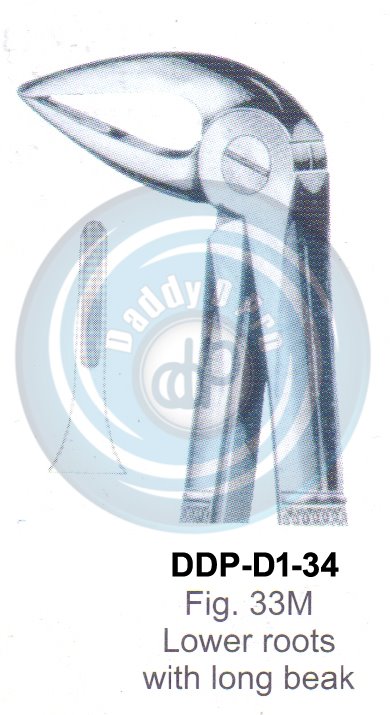 Tooth Extracting Forceps  Fig#33M (english pattern)