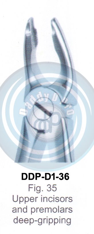 Tooth Extracting Forceps  Fig#35 (english pattern)