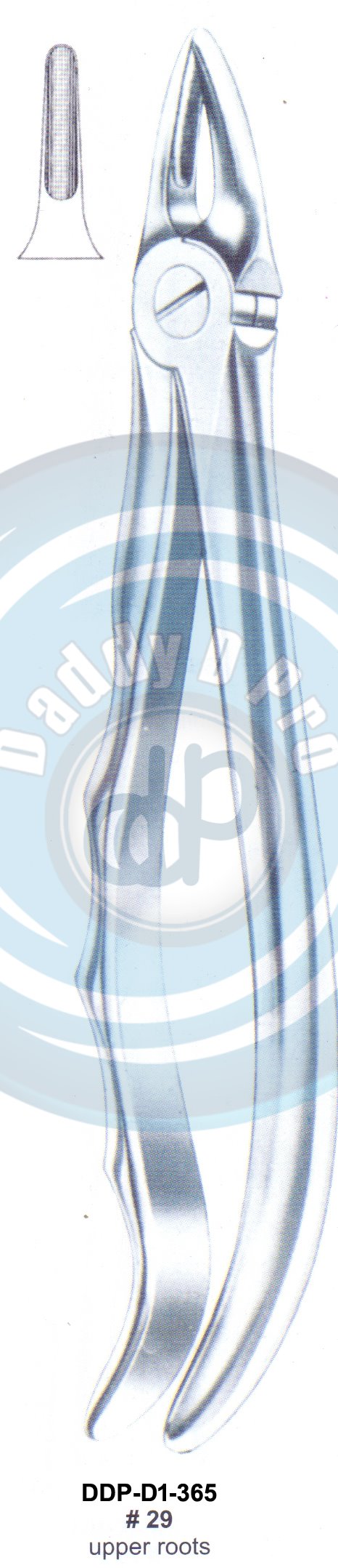 Tooth Extracting Forceps FIG#29 (english pattern)